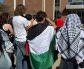 Lake Forest College Students Organize Walkout for Palestine 