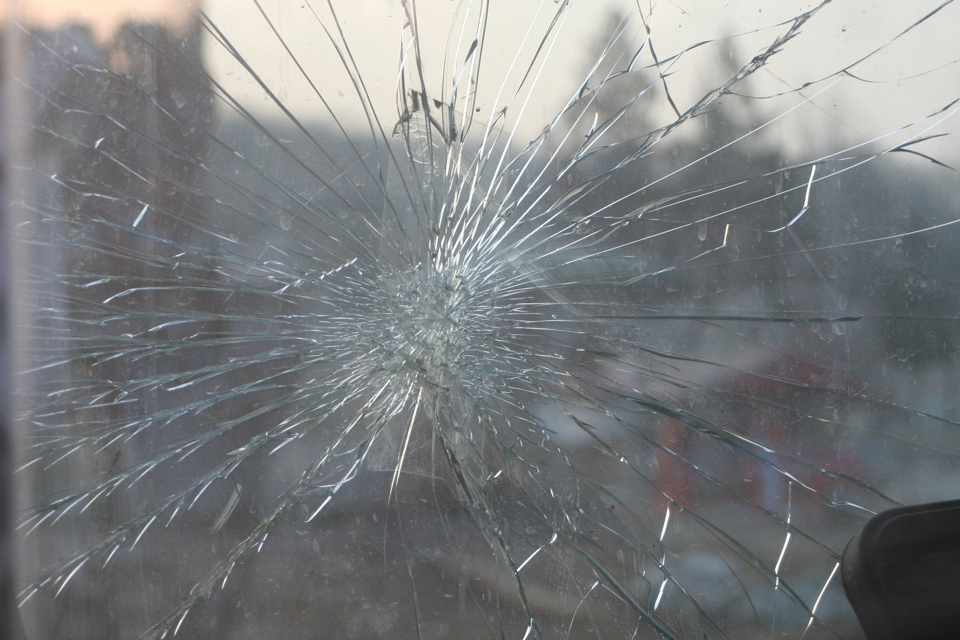 Brutal Fight Breaks Out Over Avocado in the POD