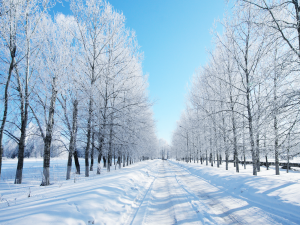 Caution: Icy Walkways Raise Student Concern