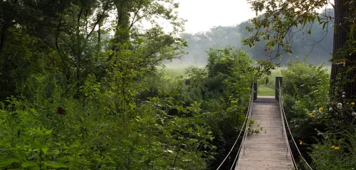 Go Touch Grass: A Lake Forest Student’s Guide to the Illinois Outdoors