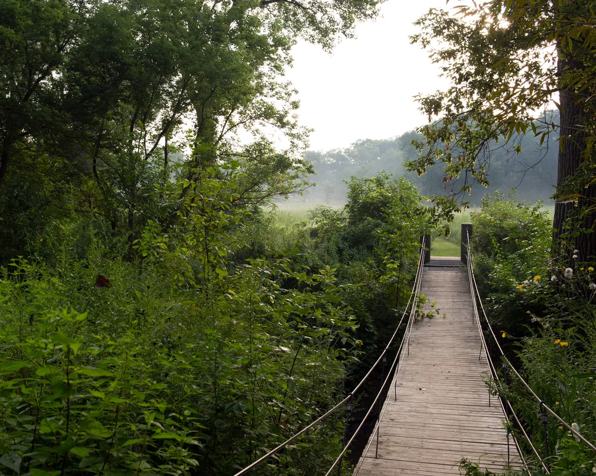 Go Touch Grass: A Lake Forest Student’s Guide to the Illinois Outdoors