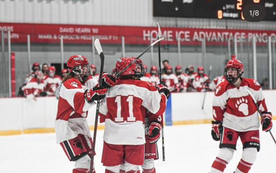 Women's hockey teammates