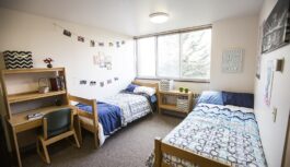 Half a Room, Half a Home: When Roommates Don’t Work Out