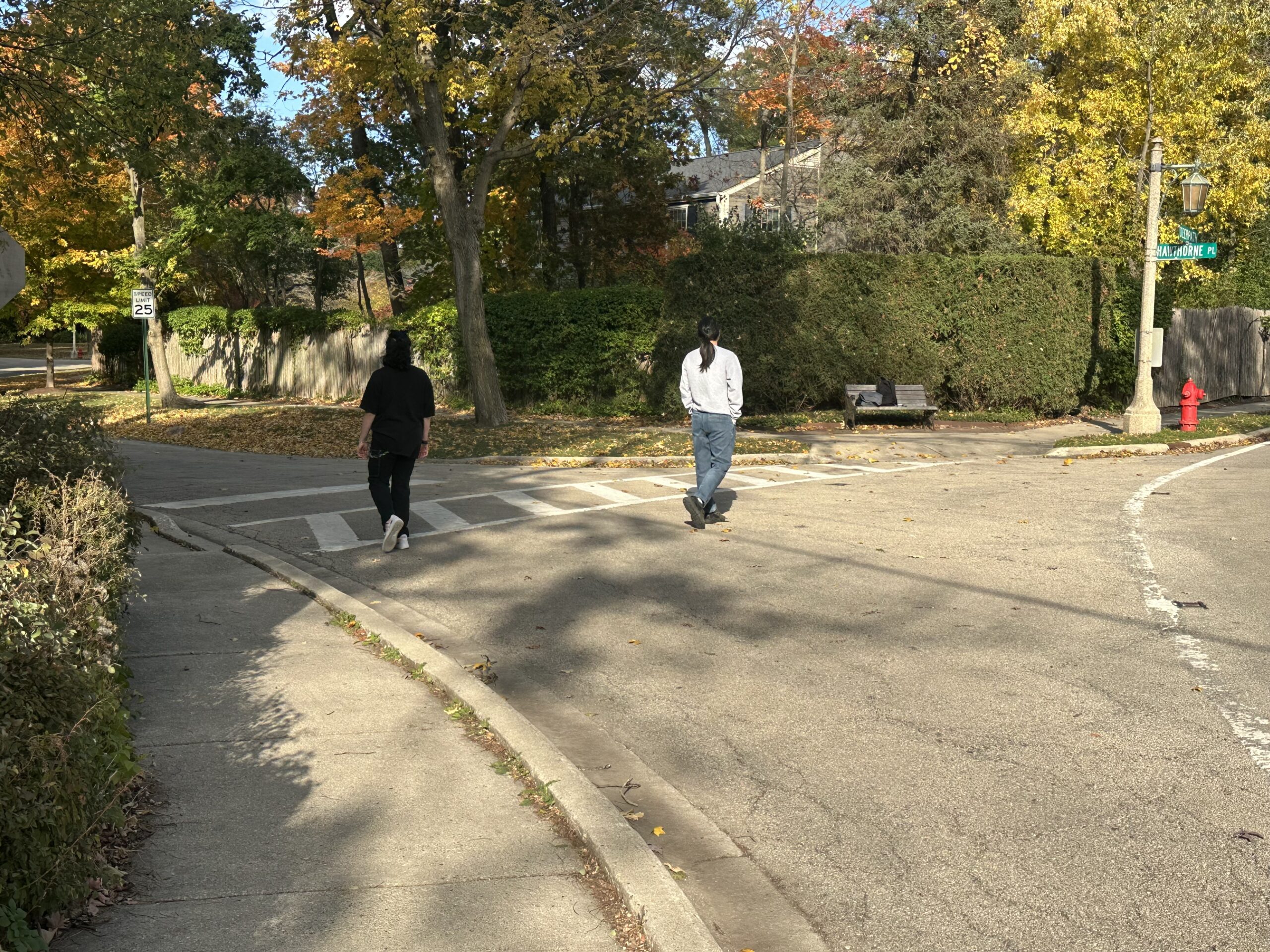  America, Where Are You Going?