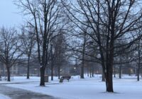 Make peace with the walk to class: winter layering that works