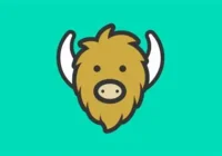 Yik Yak and the comfort of being anonymous