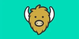 Yik Yak and the comfort of being anonymous